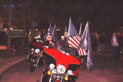 Festival of Lights 11-19-11