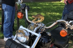 Keith Adair (gator) fallen Vietnam Vet